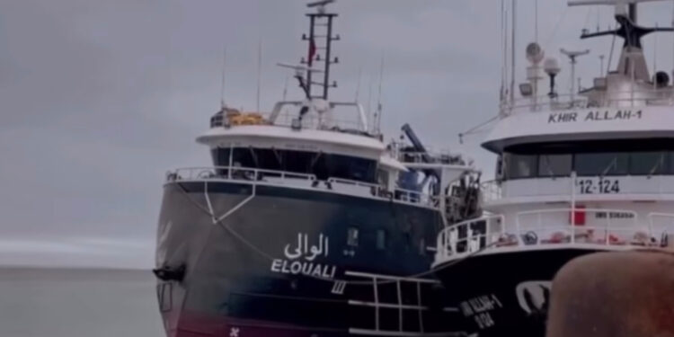 هل تحمي الحكومة ثروتنا البحرية أم تغض الطرف عن مجزرة “سفينة الوالي”؟