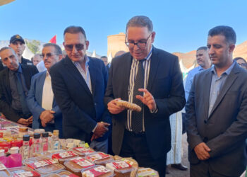 ورزازات تكشف كنوزها المحلية.. عامل الإقليم يفتتح معرض “Expo Agouim 2025” احتفاءً بالتراث والابتكار