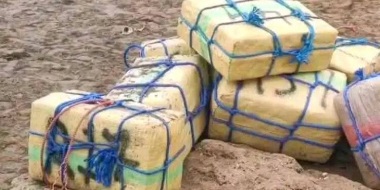 تزنيت… ضربة استباقية تحبط تهريب طن و300 كيلوغرام من الشيرا نحو جزر الكناري