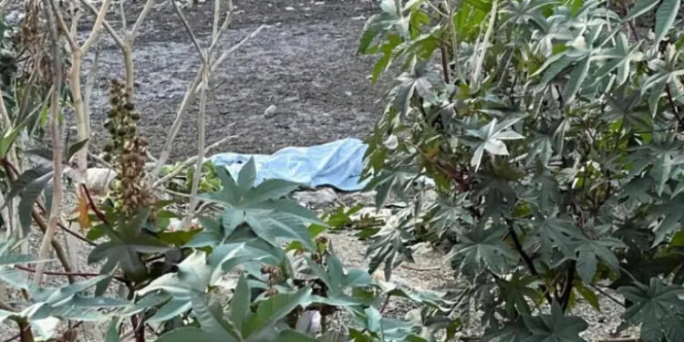 طنجة تهتز على وقع مأساة.. العثور على جثة مسن مفقود داخل مجرى مائي