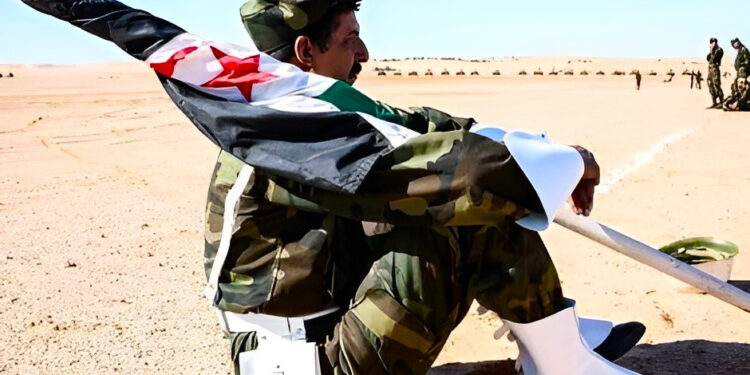 المشروع الانفصالي للبوليساريو يتهاوى في أوروبا.. قوة الدبلوماسية المغربية تعيد رسم موازين القوى الدولية