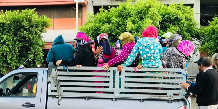 فاجعة آيت عميرة: فاجعة العاملات الزراعيات يفضح صمت السلطات ومآسي النقل القاتل