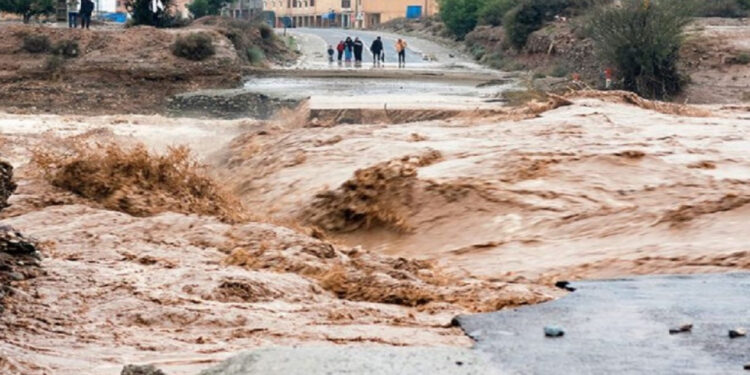 الغيث عاد.. أمطار الخير تُنعش قلوب المغاربة وتُبشّر بموسم زراعي واعد