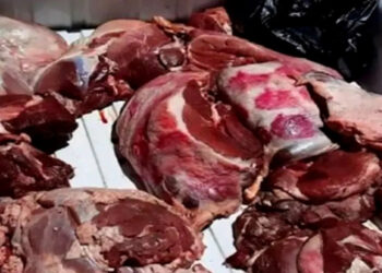 شيشاوة… “كمين الكبدة الفاسدة” يكشف شبكة غش تهدد موائد المغاربة