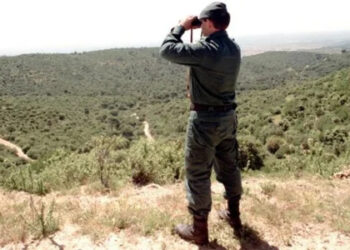 شبكة تصطاد الحياة… والرباط ترد بعملية نوعية