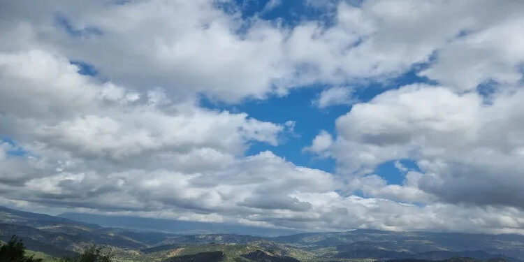 ضباب الصباح يلف السواحل.. واستقرار في درجات الحرارة عبر المملكة