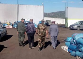 انفجار رقابي: سلطات وزان تلاحق مخالفات معاصر الزيتون لحماية الجودة وصون حقوق المستهلكين