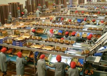 رياض مزور: الصناعات الغذائية رهان المغرب لخلق الشغل وتعزيز الصادرات