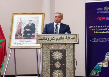 دينامية جديدة: دعم المقاولات الصغيرة والمتوسطة يصل محطة سوس ماسة