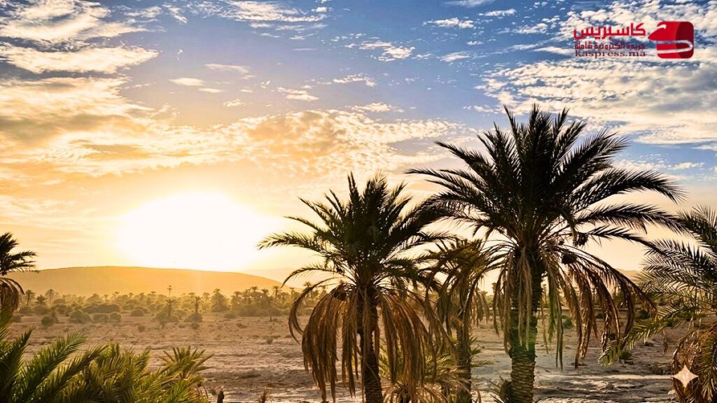 موجة حر في المغرب.. 46 درجة في 5 مناطق والأرصاد تكشف موعد الانفراج موجة حر في المغرب مع ارتفاع درجات الحرارة بعدد من المناطق الداخلية والجنوبية