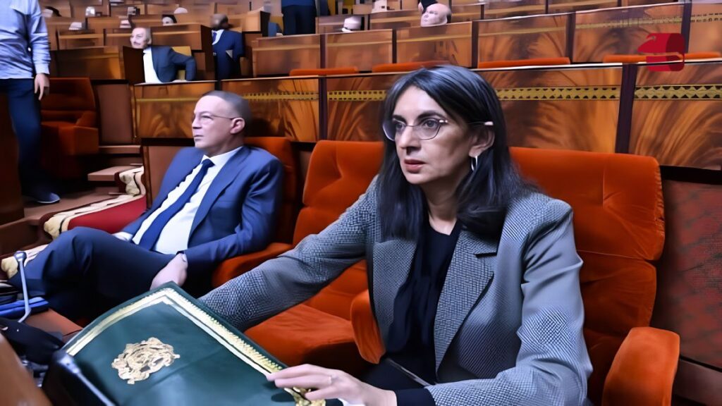 ميزانية 2026.. نادية فتاح تعرض تنفيذ قانون المالية أمام البرلمان
